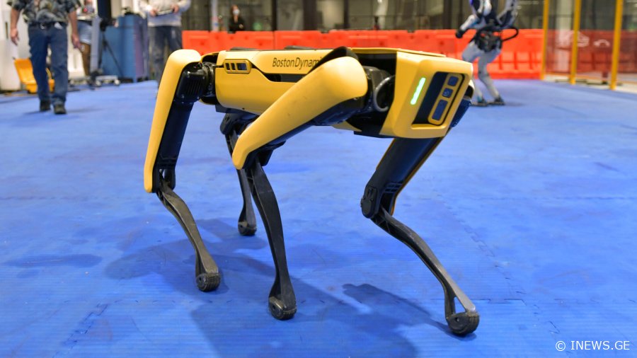 ნიუ-იორკის პოლიცია კრიმინალთან საბრძოლველად რობოტ ძაღლებს გამოიყენებს