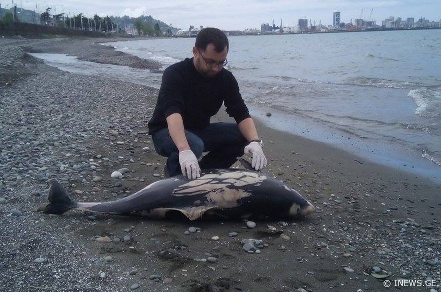 „შავ ზღვას მსგავსი მასშტაბის ტექნოგენური კატასტროფა მეორე მსოფლიო ომის მერე არ ჰქონია“ - არჩილ გუჩმანიძე