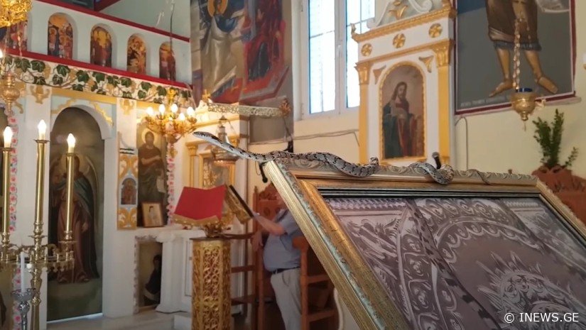 ქრისტიანებმა იციან, რომ, თუკი გველები არ გამოჩნდნენ, იმ წელს... - სასწაული, რომელიც ყოველ წელს აღესრულება