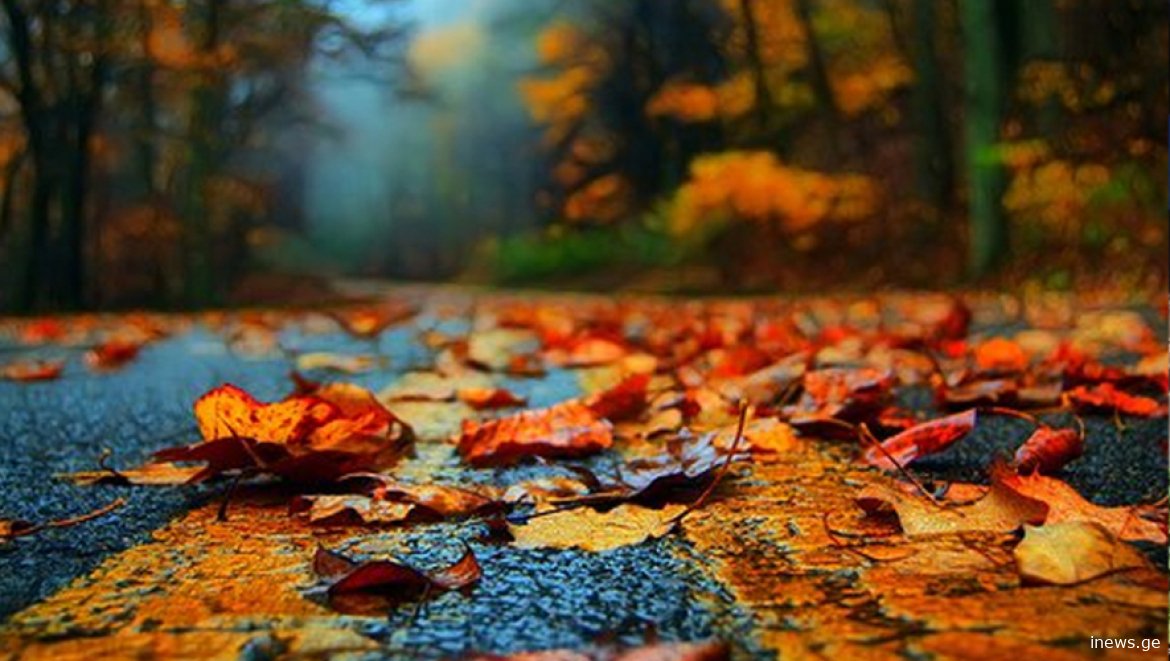 ამინდთან დაკავშირებითნ კიდევ ერთი საინტერესო სიახლე ხდება ცნობილი - რა გველის შემდეგ დღეებში