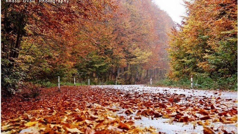 ვითარება შეიცვალა, ის ხდება, რაც მოსალოდნელი არ იყო - როგორი ამინდი გველის მომდევნო ორი დღე