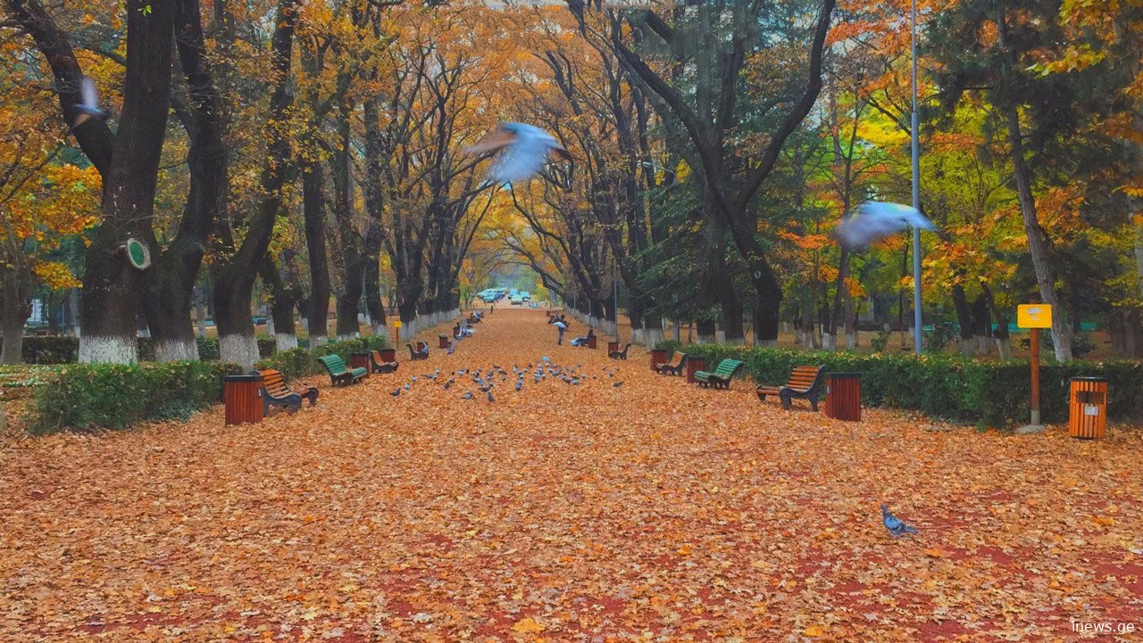 დიდი ამბავია, ასეთი ამინდები წლებია არ ყოფილა - როგორია ამინდის პროგნოზი ნოემბრის ბოლომდე