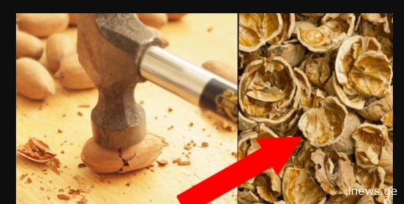 “ამის წაკითხვის შემდეგ თქვენ კაკლის ნაჭუჭს აღარასდროს გადააგდებთ..” – ნახეთ ეს უნდა იცოდეთ