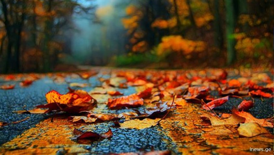 ამინდთან დაკავშირებითნ კიდევ ერთი საინტერესო სიახლე ხდება ცნობილი - რა გველის შემდეგ დღეებში