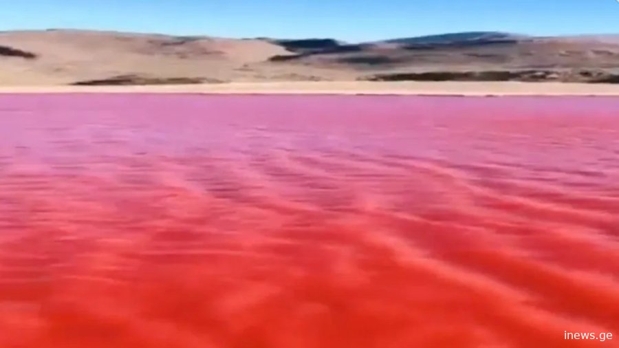 ბიბლიური წინასწარმეტყველება თუ ბუნებრივი მოვლენა - რატომ გაწითლდა ნილოსი