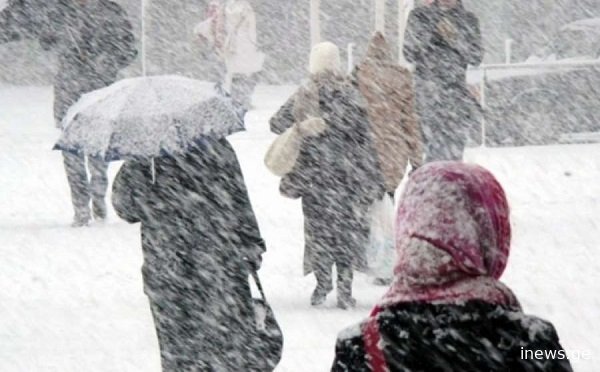 ძლიერი თოვა, ნისლი და ქარბუქი - მოემზადეთ, ჯერ ამინდი წელს ასე არ გაფუჭებულა