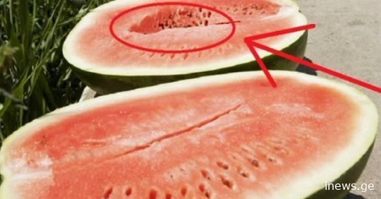 თუ თქვენი საზამთრო ასეთი აღმოჩნდება, სასწრაფოდ გადააგდეთ! - აი, რატომ