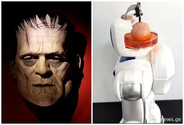 “ფრანკენშტაინი“ რეალობად იქცა - ჩინელმა მეცნიერებმა შექმნეს რობოტი, რომელსაც ადამიანის ტვინი...