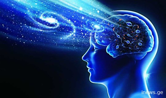 მეცნიერებმა ადამიანის ტვინი შეისწავლეს და წარმოუდგენელი შედეგი მიიღეს