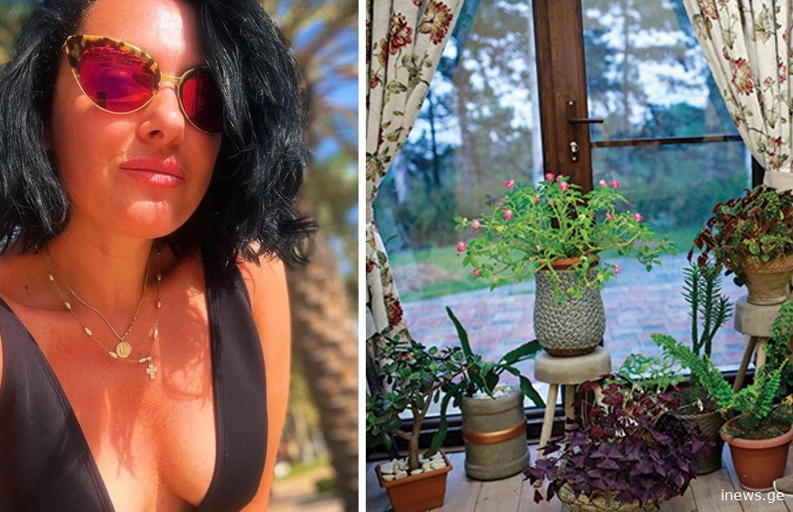 “ჩემი ჰონორარით ავაშენე” – დაათვალიერეთ მაკა ზამბახიძის ულამაზესი სახლი ტყის პირას რომელიც წყნეთში აიშენა