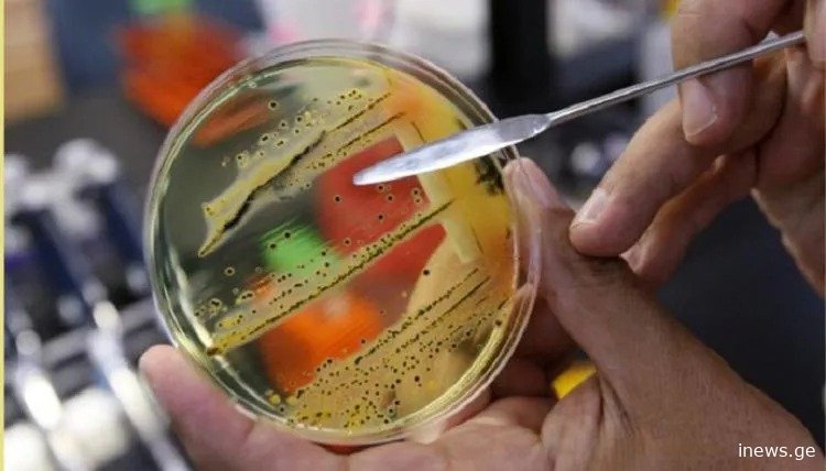რესტორანში კვების შემდეგ, 6-დან სამს სალმონელოზი დაუდასტურდა - საგანგაშო ვითარება თბილისში