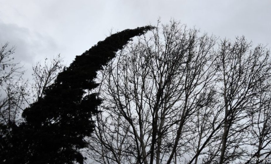 ასეთი ძლიერი ქარი დიდი ხანია არ ყოფილა საქართველოში - სინოპტიკოსები ამინდის შესახებ გვაფრთხილებენ