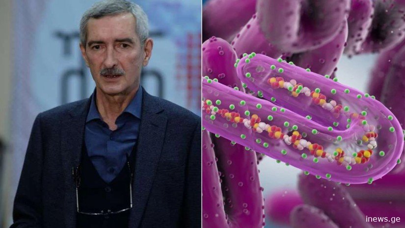 არსებობს თუ არა საქართველოში მარბურგის გავრცელების საფრთხე - პაატა იმნაძის საგანგებო განცხადება