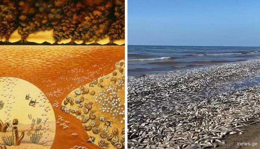 დედამიწაზე მასობრივი გადაშენება მიმდინარეობს, რომელიც მთელ სახეობებს სამუდამოდ სპობს - მეცნიერების გაფრთხილება