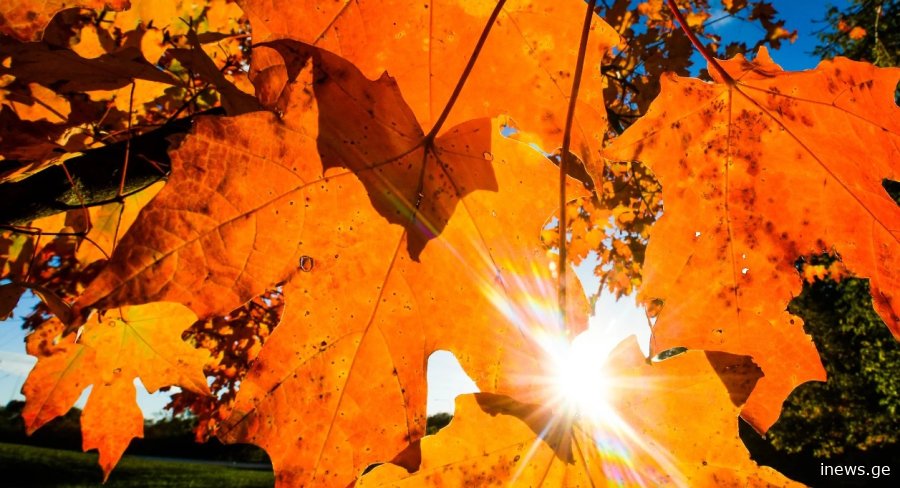ნოემბერია თუ სექტემბერი - სინოპტიკოსები მოსალოდნელ ამინდზე უმაგრეს ინფორმაციას ავრცელებენ