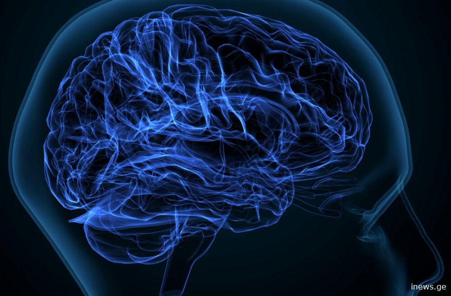 "მეხსიერებაზე პასუხისმგებელი მხოლოდ ტვინი არ არის" - რას აჩვენა ახალმა კვლევამ, რომელიც შესაძლოა თვითგანკურნების ინოვაციად იქცეს