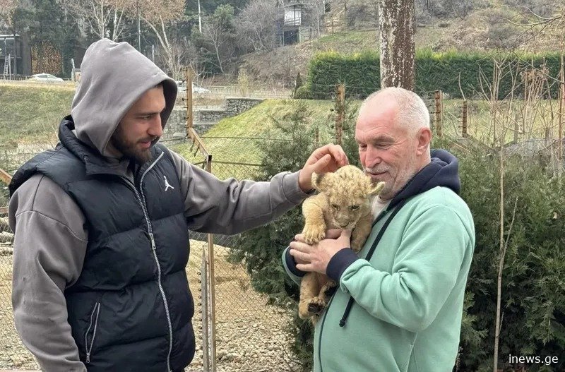 "ბოკვერი უკვე ჩვენს ზოოპარკშია და..." - რას წერს ლაშა ბექაური