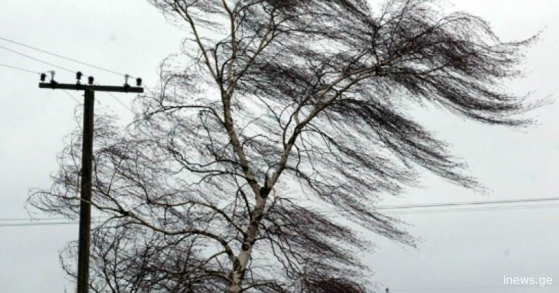 ძლიერი ქარი და ნისლი - სინოპტიკოსები საქართველოში 23 იანვრის ამინდზე გვაფრთხილებენ