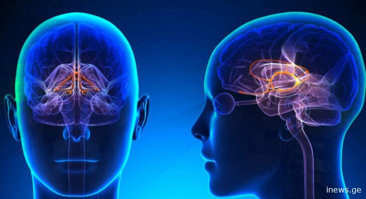 ძილი და ტვინის ჯანმრთელობა: რატომ არის აუცილებელი ხარისხიანი ძილი?