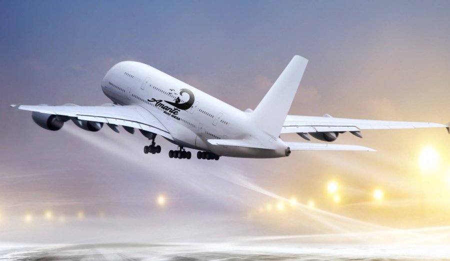 2024 წლის ყველაზე კარგი და ცუდი ავიაკომპანიების TOP-10