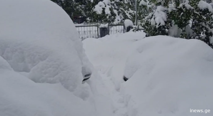 შვილის ცხედართან თოვლში ჩარჩენილი 85წლის დავდომილი ქალი!-რა ინფორმაცია ვრცელდება სტიქიის ზონიდან?