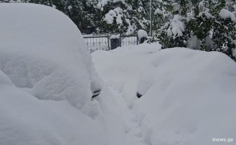 რას წერენ მოხალისეები?-რა მდგომარეობაა ამ დროისთვის გურიაში სადაც 600-ზე მეტი ადამიანი შველას ელოდება?