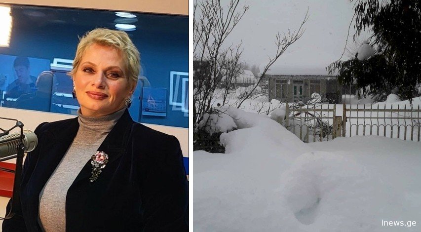 როცა გეუბნებოდით სოფლებს დაუბრუნდით, ახლა რომ აბრალებთ მთავრობას, ბიძინა ივანიშვილს... - როგორ ეხმაურება ლალი მოროშკინა გურიაში მიმდინარე სტიქიას