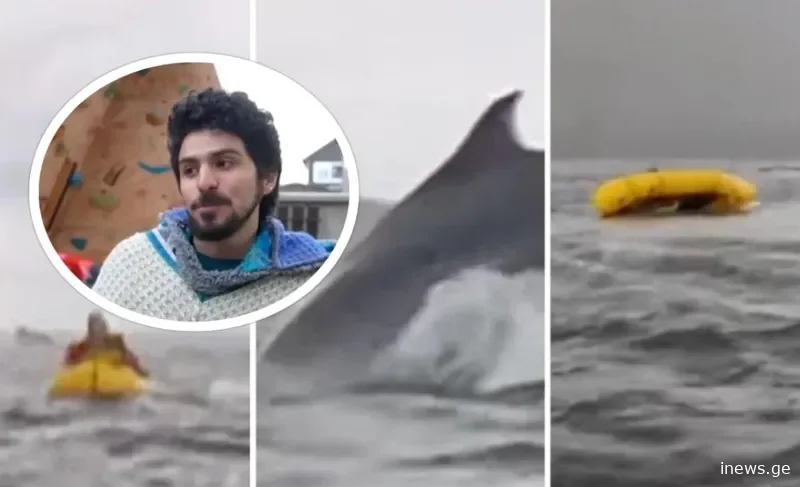 თვალები დავხუჭე, დარტყმას ველოდი, თითქოს უბრალოდ ამომატრიალეს და..." - რას ჰყვება ბიჭი, რომელიც ვეშაპმა გადაყლაპა და რამდენიმე წამში უკან გაუშვა: უმძიმესი შემთხვევის დეტალები