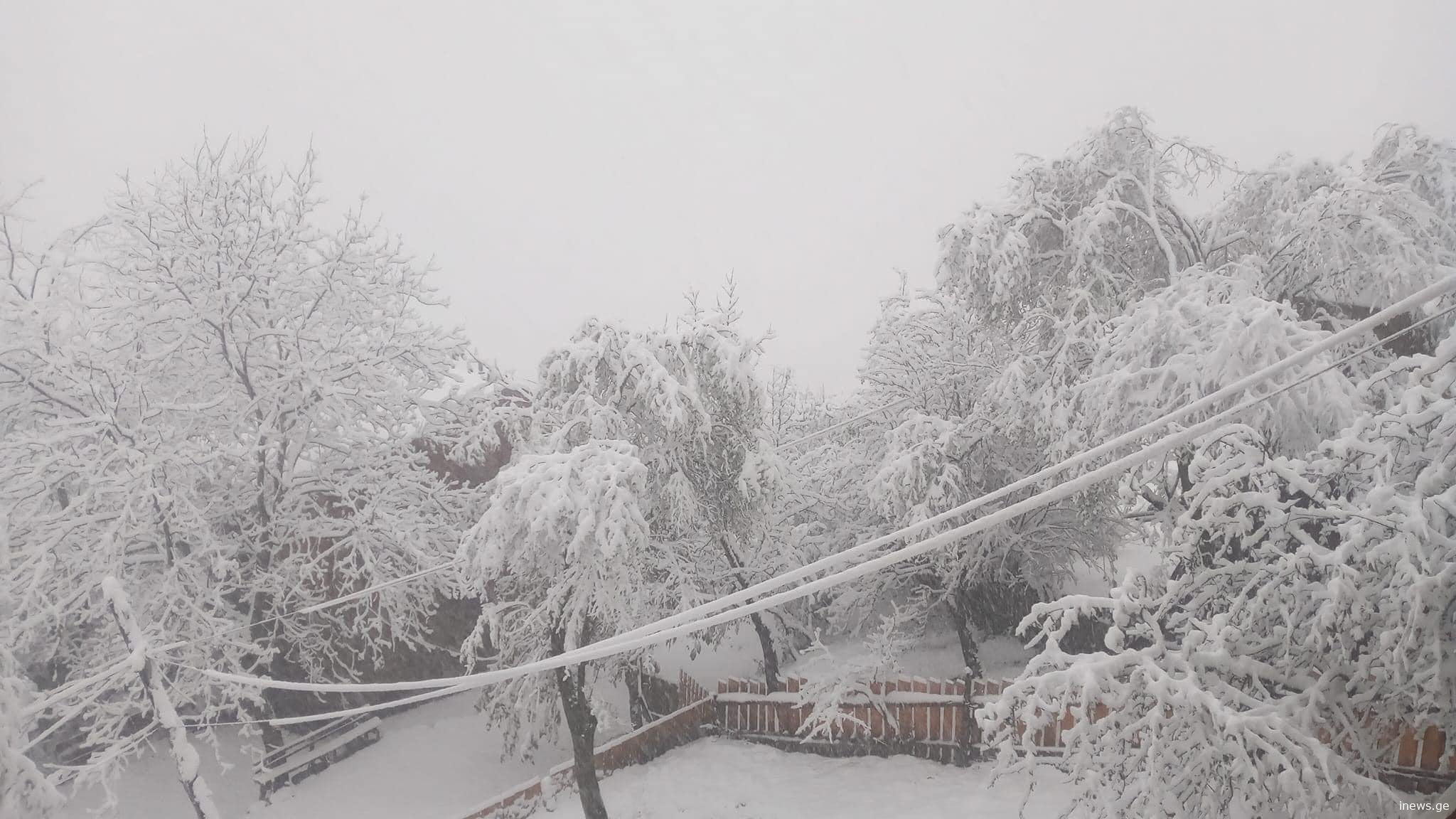 როგორი ამინდია მოსალოდნელი გაზაფხულის პირველ დღეებში - უახლესი პროგნოზი