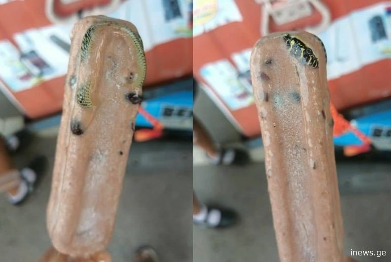 ნაყინში შხამიანი გველი აღმოაჩინა - ფაქტმა, მთელი მსოფლიო აალაპარაკა