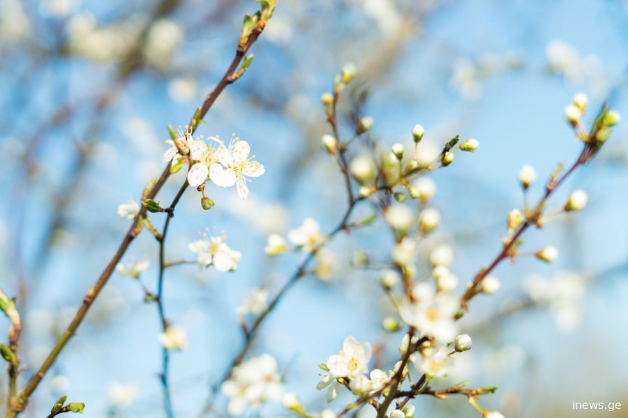 მარტში ზღვაზე წასვლის დრო მოსულა - ვრცელდება ინფორმაცია უახლოესი დღეების ამინდზე