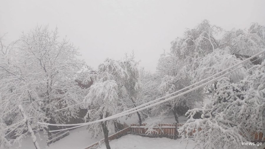 როგორი ამინდია მოსალოდნელი გაზაფხულის პირველ დღეებში - უახლესი პროგნოზი