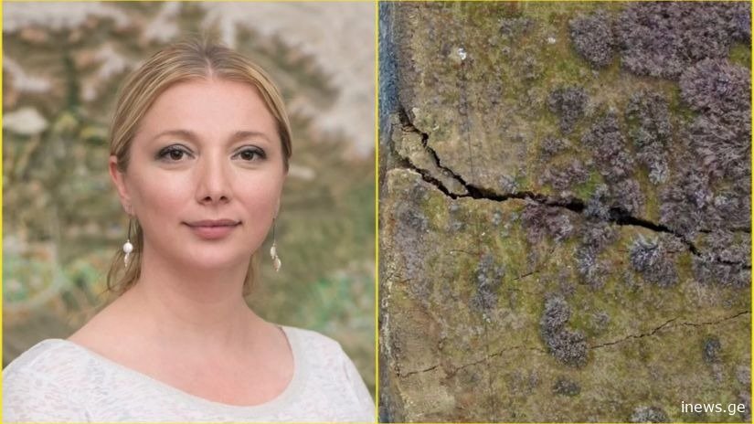 "ნუ გეშინიათ, პატარაა, უბრალოდ თბილისთან ახლოს იყო" - რას წერს თეა გოდოლაძე გამთენიისას მომხდარ მიწისძვრაზე