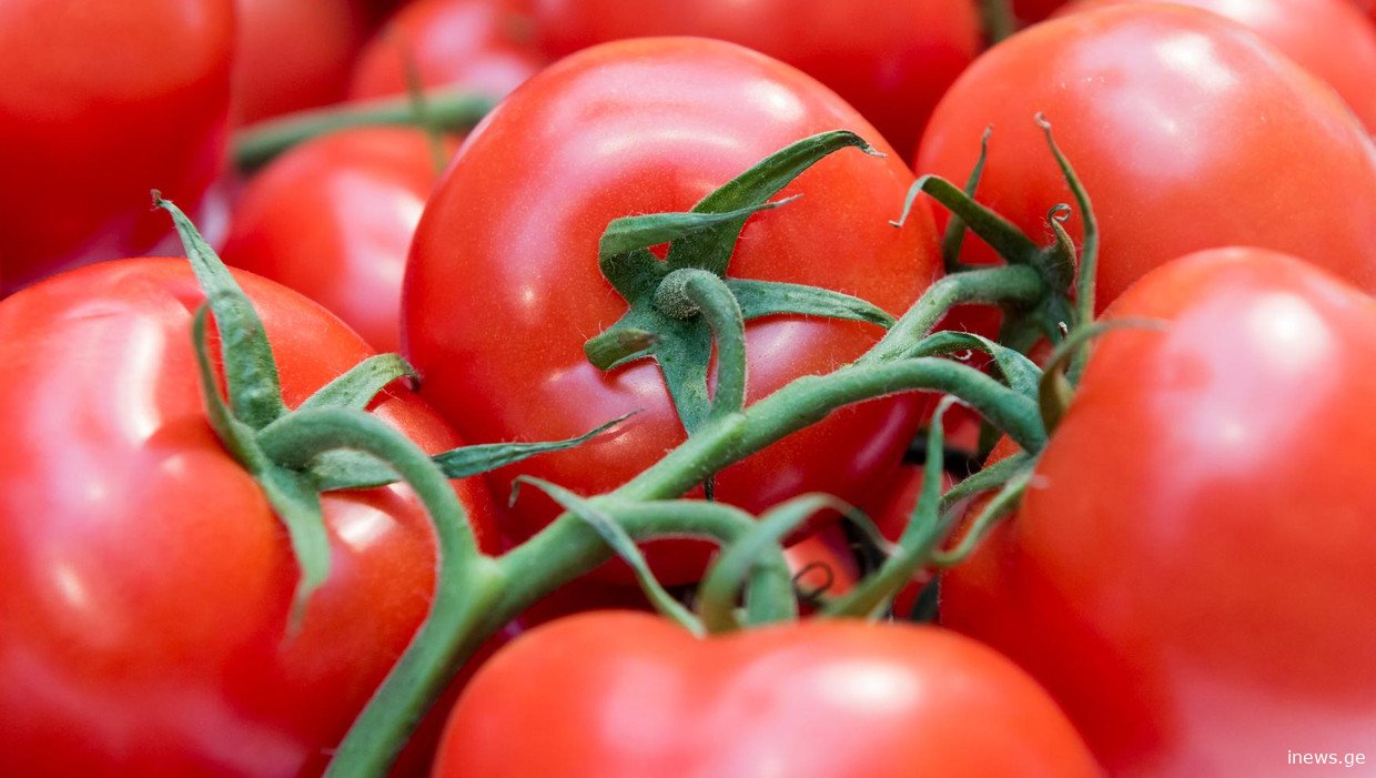 თუ წელს პომიდვრის დათესვას აპირებთ, აუცილებლად წაიკითხეთ ეს რჩევები