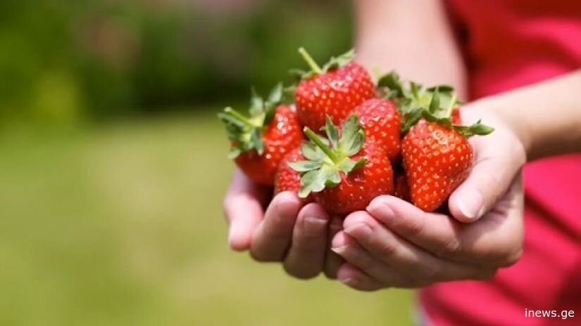 "მოსახლეობის დიდი ნაწილი მარწყვის გარეცხვისას ერთ შეცდომას უშვებს...", - რა უნდა გაითვალისწინოთ