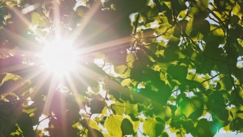 როგორი ამინდია მოსალოდნელი დღეს საქართველოში