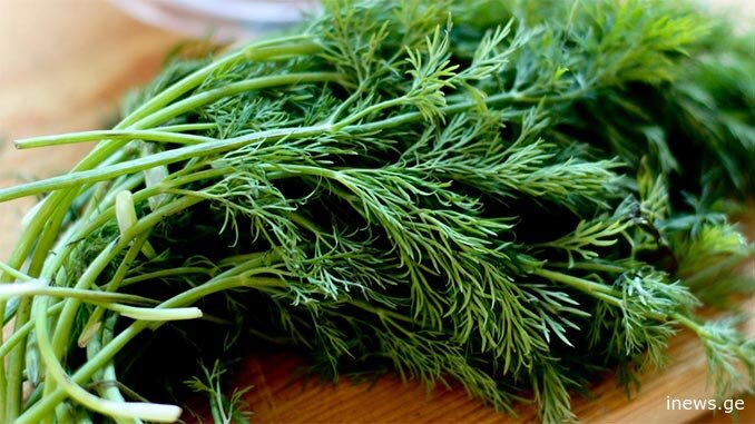 როგორ შევინახოთ მწვანილი ზაფხულში - ყველა საჭირო რჩევა ერთ სტატიაში