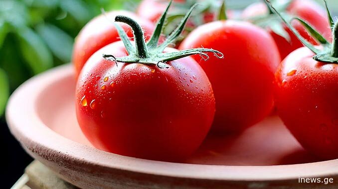 თუ პომიდვრის დათესვას აპირებთ, ეს რეკომენდაციები აუცილებლად უნდა გაითვალისწინოთ