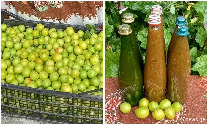 როგორ შევინახოთ მწვანე ტყემალი ზამთრისთვის – მარტივი რეცეპტი გამოცდილი დიასახლისისგან