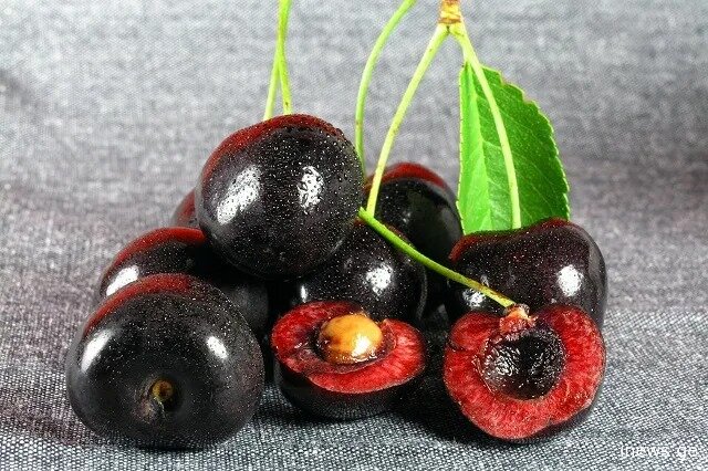 მისი მიღება ამცირებს სისხლში ქოლესტერინის დონეს, ადამიანი წონაში იკლებს