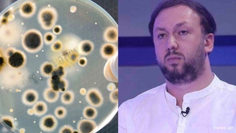 ალექსანდრე გოგინავა ასახელებს ვირუსულ ინფექციებს, რომლებიც ზაფხულში მწვავდება