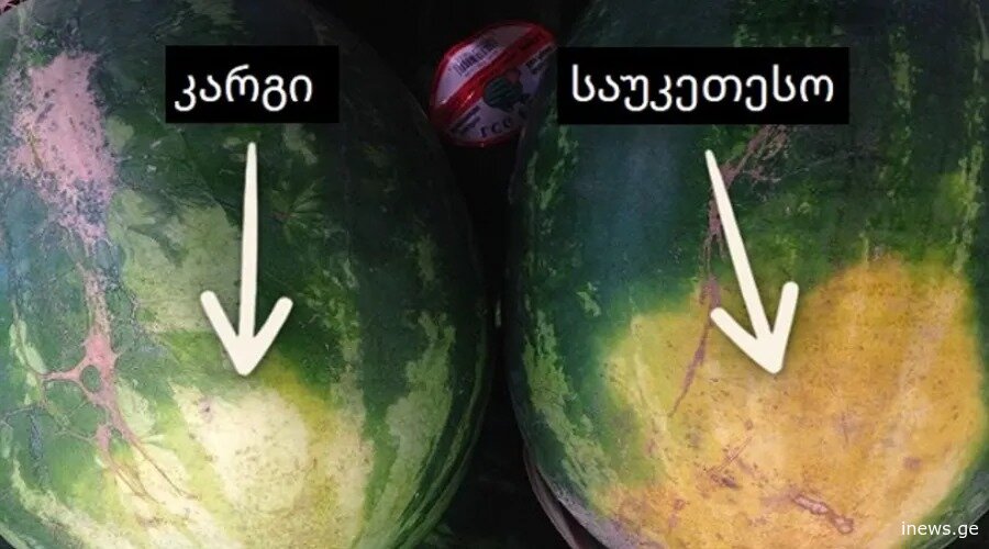 როგორ ავარჩიო საზამთრო? - 3 მარტივი ხრიკი და გაჭრის გარეშე მიხვდებით, მწიფეა თუ არა