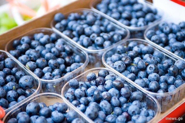 თუ გიყვართ მოცვი, შეწყვიტეთ, რასაც არ უნდა აკეთებდეთ და წაიკითხეთ ეს სტატია