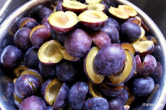 აახალგაზრდავებს და აჯანსაღებს შინაგან ორგანოებს - 10 მიზეზი, თუ რატომ უნდა გიყვარდეთ შავი ქლიავი