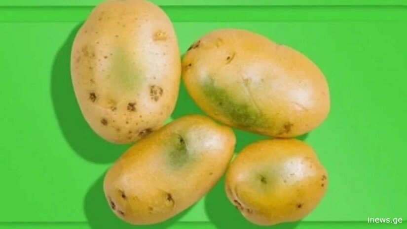რატომ არის გამწვანებული კარტოფილი საშიში და შეიძლება თუ არა მისი ჭამა